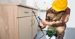 Pest Control Worker Spraying Pesticides On Wooden Drawer